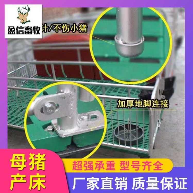 盈信畜牧  母猪产床限位栏 厂家直销 养猪设备母猪产床 供应优良  全复合母猪产床 母猪分娩栏 母猪复合产床 产保一体双体产床 母猪分娩床厂家直销