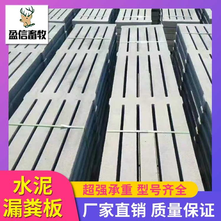 盈信畜牧 养猪专用水泥漏粪板 厂家水泥漏粪板 猪舍水泥漏粪板 漏粪板 猪用漏粪板 漏粪板设备 水泥漏粪板 机制漏粪板厂家 养猪设备厂家直销
