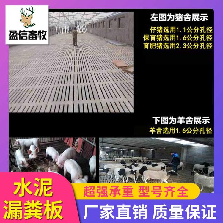盈信畜牧 机制漏粪板厂家 养猪设备厂家直销 养猪专用水泥漏粪板 厂家水泥漏粪板 猪舍水泥漏粪板 漏粪板 猪用漏粪板 漏粪板设备 水泥漏粪板