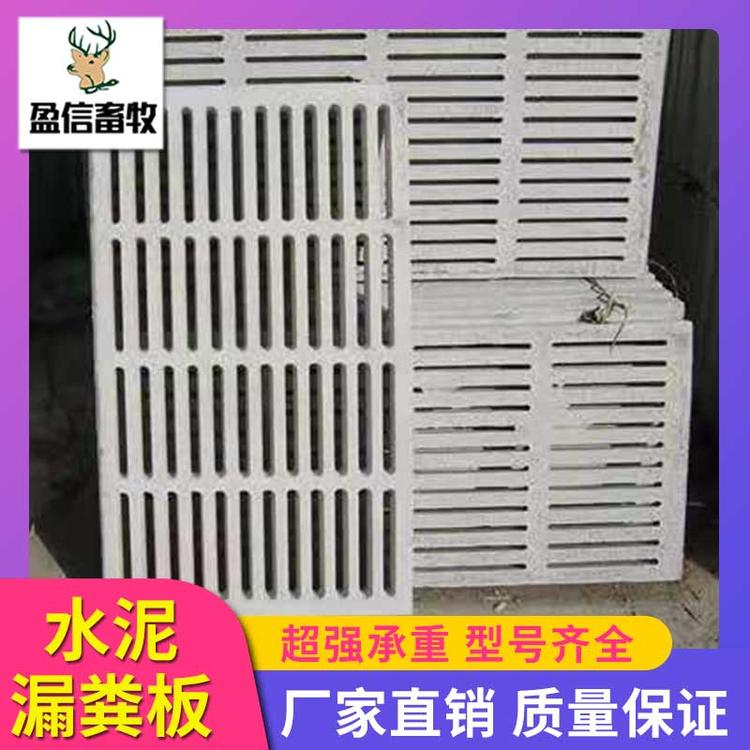 盈信畜牧 水泥漏粪板 机制漏粪板厂家 养猪设备厂家直销 养猪专用水泥漏粪板 厂家水泥漏粪板 猪舍水泥漏粪板 漏粪板 猪用漏粪板 漏粪板设备