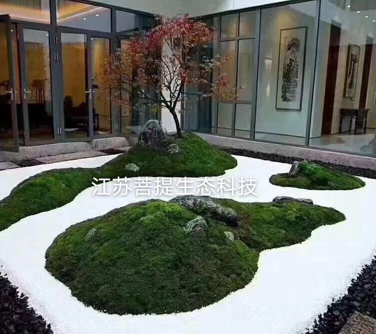 上海餐厅软装搭配效果图 室内植物软装 室内绿植软装 餐厅绿植布置