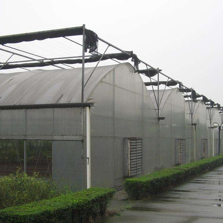 蔬菜大棚外遮阳连栋大棚养鸡大棚养猪大棚养殖大棚厂家直销支持定制