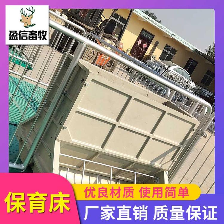 盈信畜牧 母猪保育床 养猪设备 复合漏粪板 保育床 畜牧生产供应 围栏仔猪用保育床 厂家直销 保育床限位栏