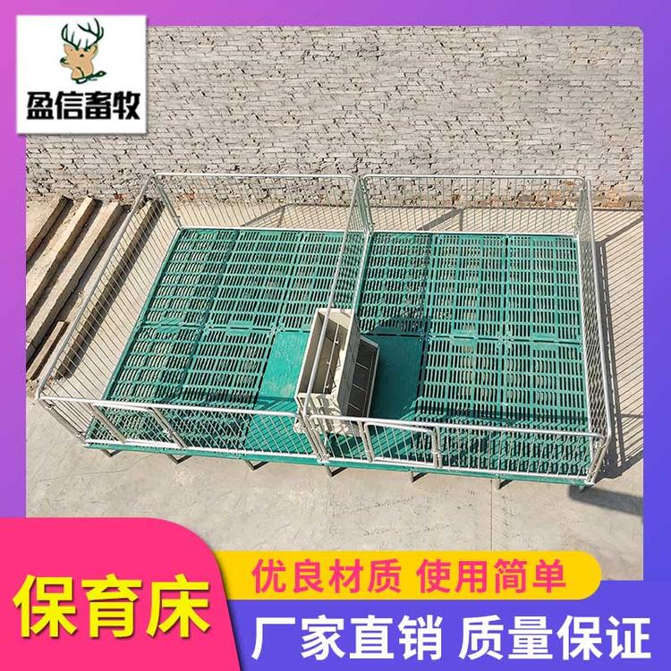 盈信畜牧小猪保育床 仔猪保育床 养猪设备 复合漏粪板 保育床 母猪保育床