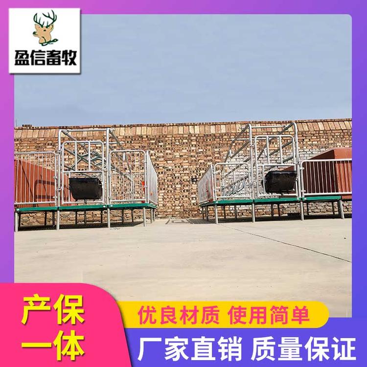盈信畜牧 母猪产床限位栏 保育床限位栏 供应优良  全复合母猪产床 母猪分娩栏 母猪复合产床 产保一体双体产床 母猪分娩床厂家直销 猪用产床母猪产床 养猪设备母猪产床