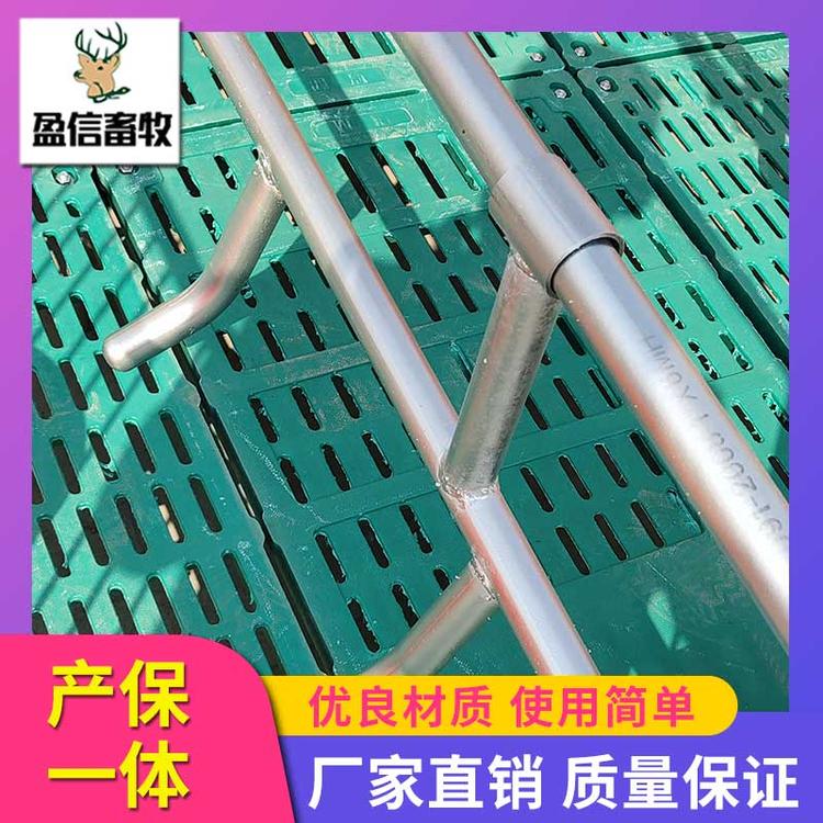 盈信畜牧 厂家直销 供应优良  全复合母猪产床 母猪分娩栏 母猪复合产床 产保一体双体产床 母猪分娩床厂家直销 猪用产床母猪产床 养猪设备母猪产床 母猪产床限位栏