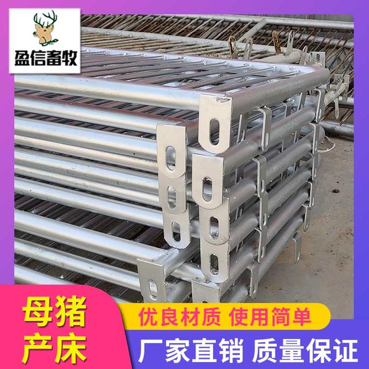 盈信畜牧 产保一体双体产床 母猪分娩床厂家直销 猪用产床母猪产床 养猪设备母猪产床 母猪产床限位栏 厂家直销 供应优良  全复合母猪产床 母猪分娩栏 母猪复合产床