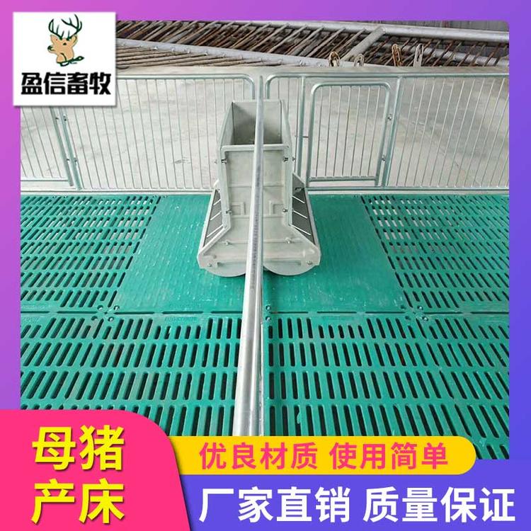 盈信畜牧 全复合母猪产床 母猪分娩栏 母猪复合产床 产保一体双体产床 母猪分娩床厂家直销 猪用产床母猪产床 养猪设备母猪产床 母猪产床限位栏 厂家直销 供应优良