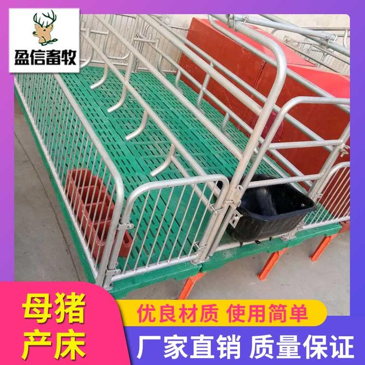 盈信畜牧 母猪分娩栏 母猪复合产床 产保一体双体产床 母猪分娩床厂家直销 猪用产床母猪产床 养猪设备母猪产床 母猪产床限位栏 厂家直销 供应优良  全复合母猪产床