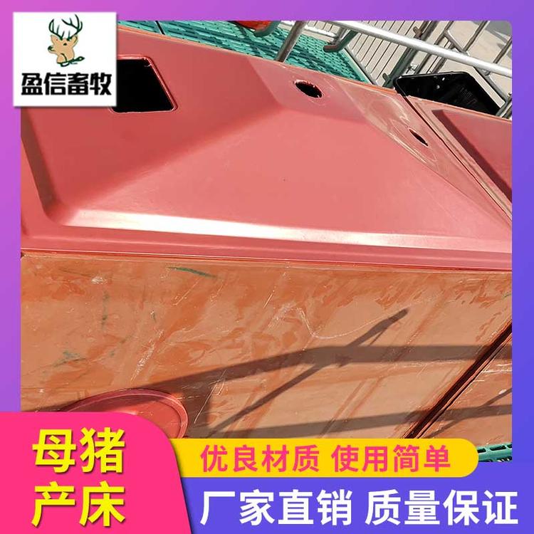 盈信畜牧 养猪设备母猪产床 母猪产床限位栏 厂家直销 供应优良 猪用产床母猪产床