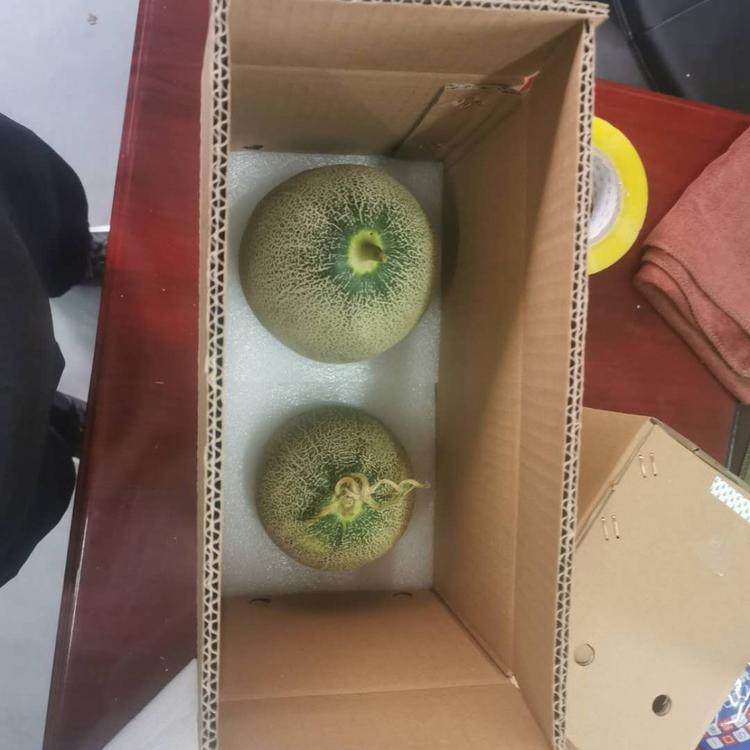 陕西西安EPE甜瓜哈密瓜包装