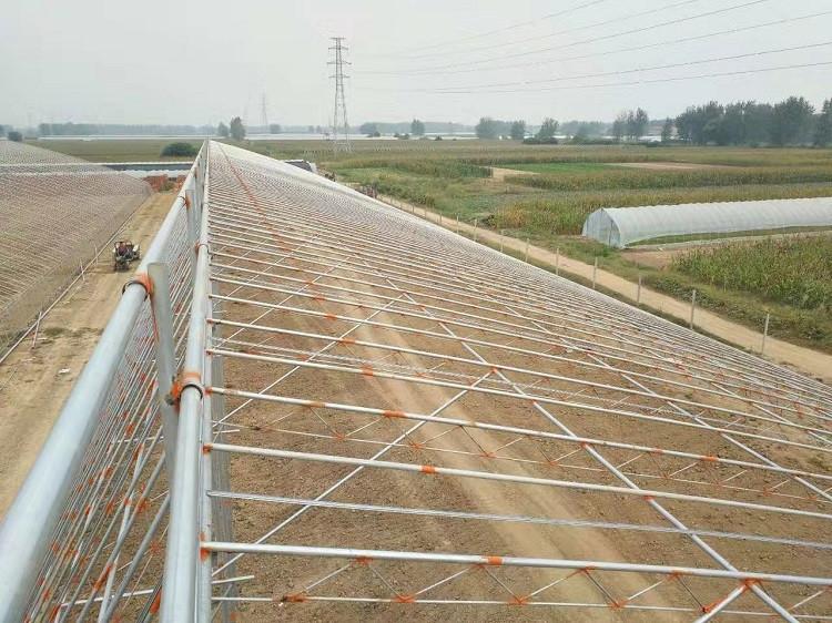 承建冬暖立柱式日光温室搭建 天之蓝温室