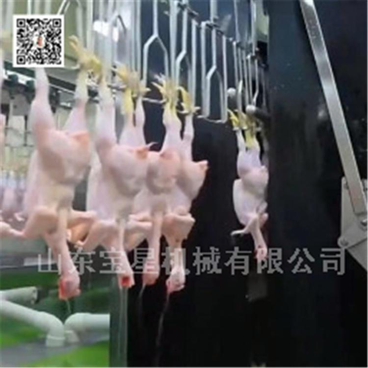 莱西杀鸭流水线--杀鸡流水线--家禽脱毛机厂家