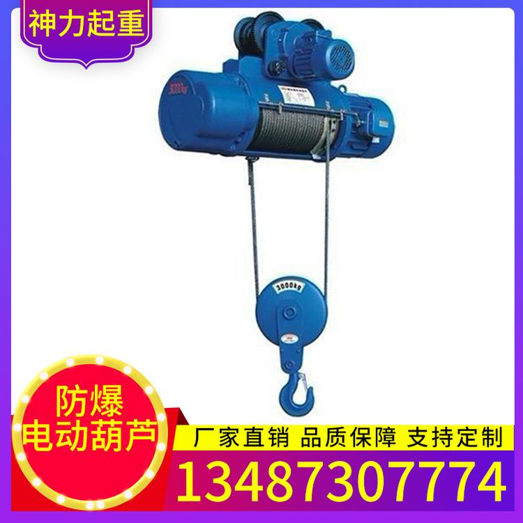 专业供应10吨钢丝绳电动葫芦3t 2t固定式快慢速双速电动葫芦5t