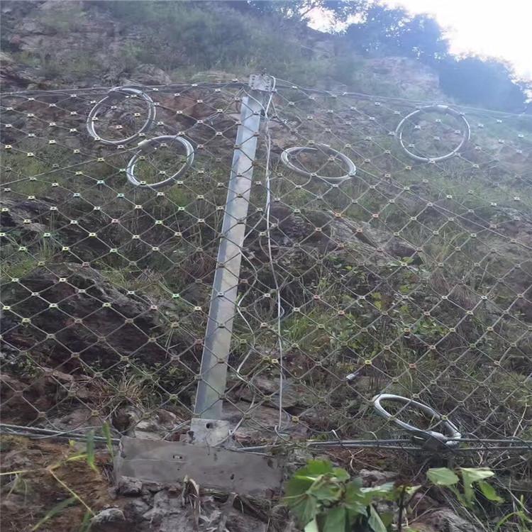 腾源 边坡网 钢丝防护网 厂家直销