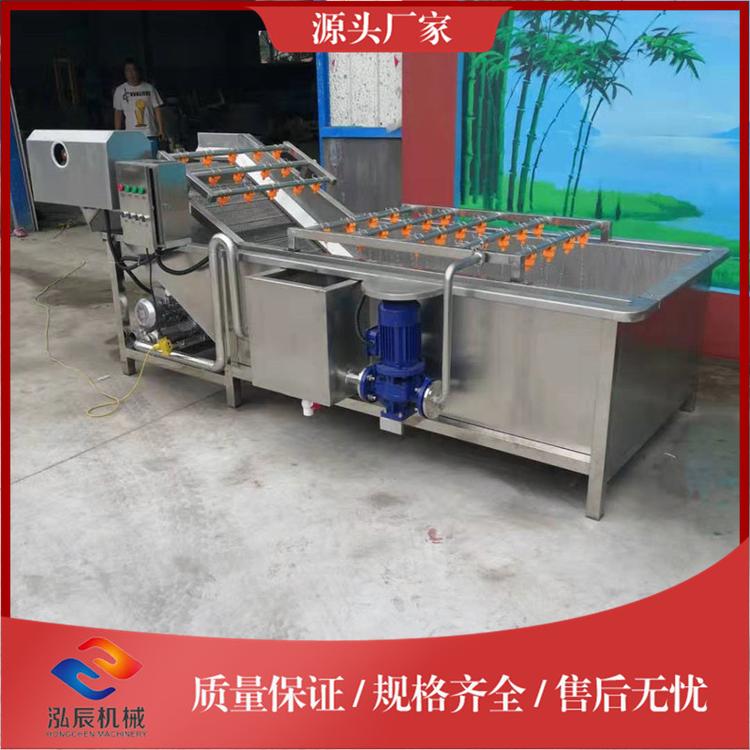供应多功能高压喷淋清洗机 全自动蓝莓清洗机 冲浪式洗菜机 泓辰机械
