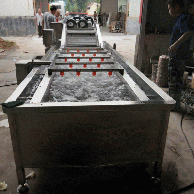厂家直销不锈钢果蔬清洗机  多功能根茎类果蔬清洗机   果蔬清洗机厂家