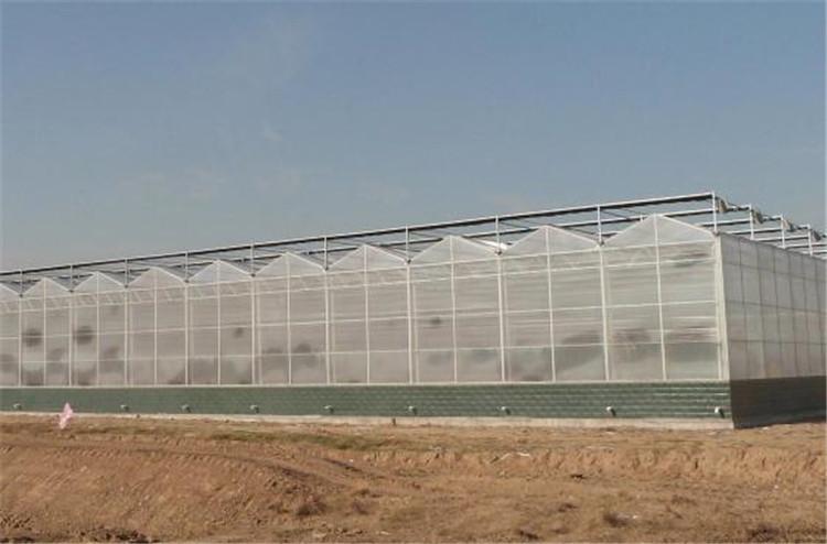 阳光板温室 博盛阳光板温室建造商