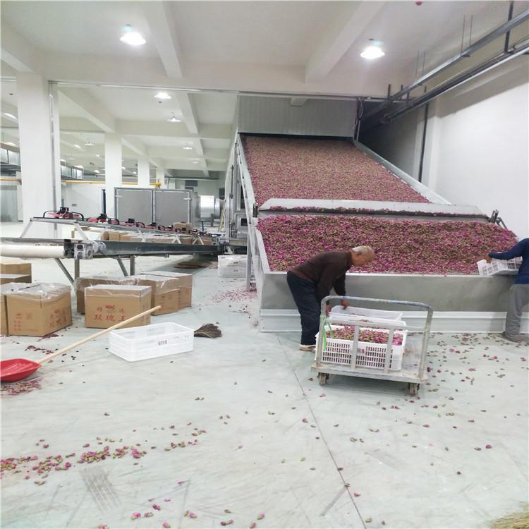 厂家直销大型红薯土豆烘干设备 菊花无花果烘干机 工业食品烘房