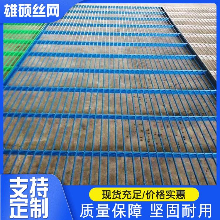 批发隔绝鸽粪长孔网 格鸽舍地网 热镀锌鸽舍地网围网