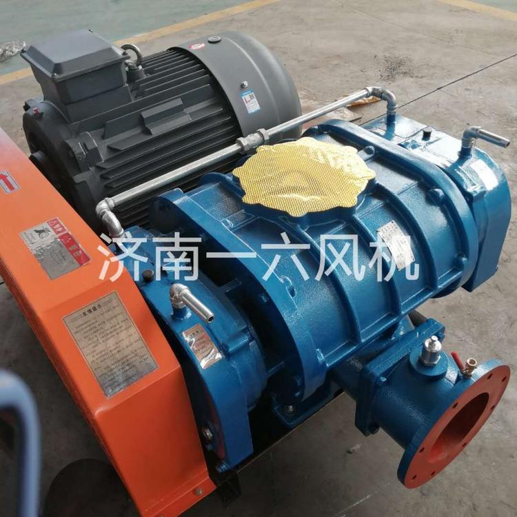 双油箱水处理三叶罗茨风机物料输送专用罗茨鼓风机低噪音罗茨鼓风机售后服务