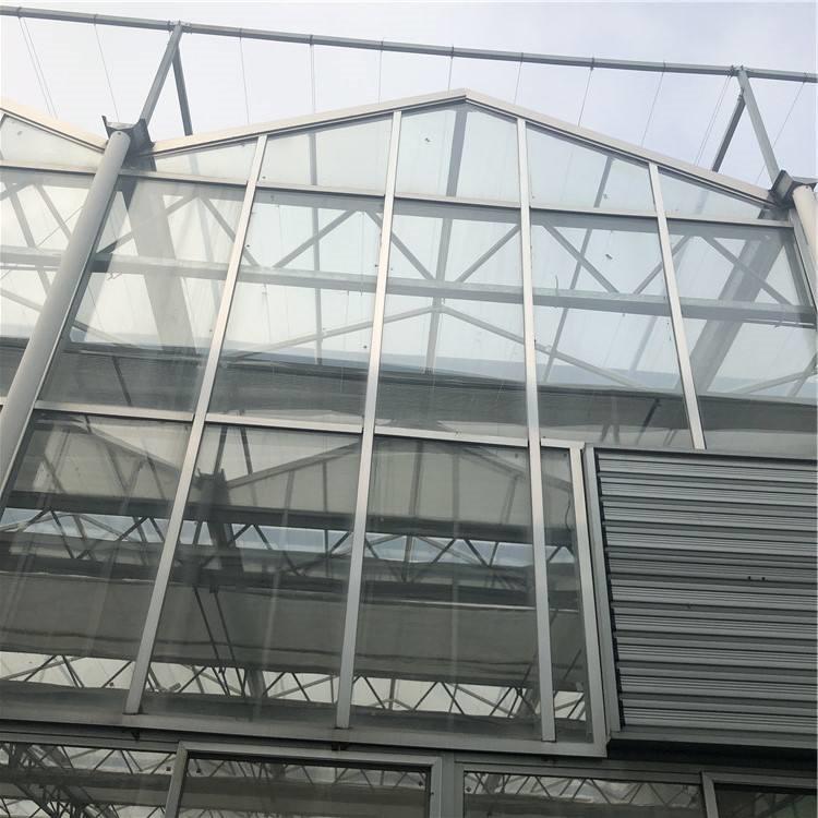 中空阳光板温室 育苗温室阳光板大棚   天之蓝温室