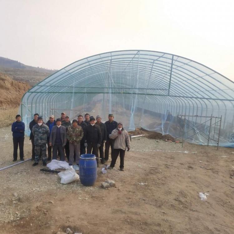 山东蛋鸡肉鸭猪舍温室养殖大棚直供质量可靠