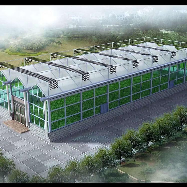 花卉温室建造 薄膜联栋温室安装 花卉大棚
