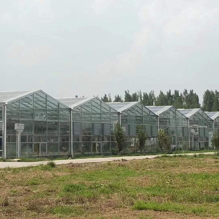 太阳能温室大棚 薄膜联栋温室报价 钢构温室大棚