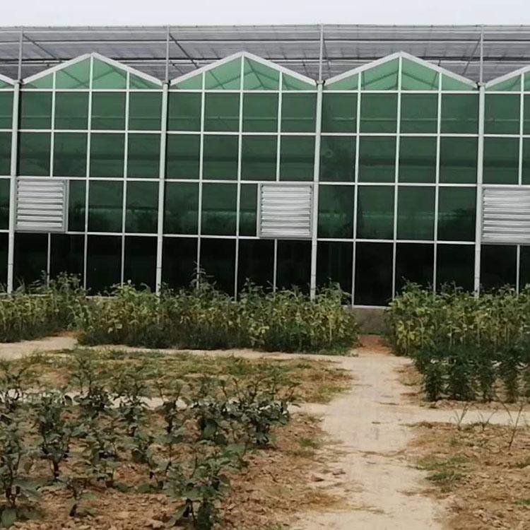 新型智能温室建设 玻璃温室骨架建造 观光温室