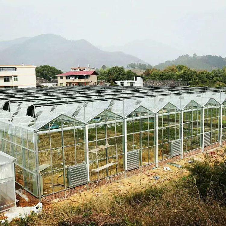 智能玻璃温室 玻璃温室承建 青州玻璃温室建造公司
