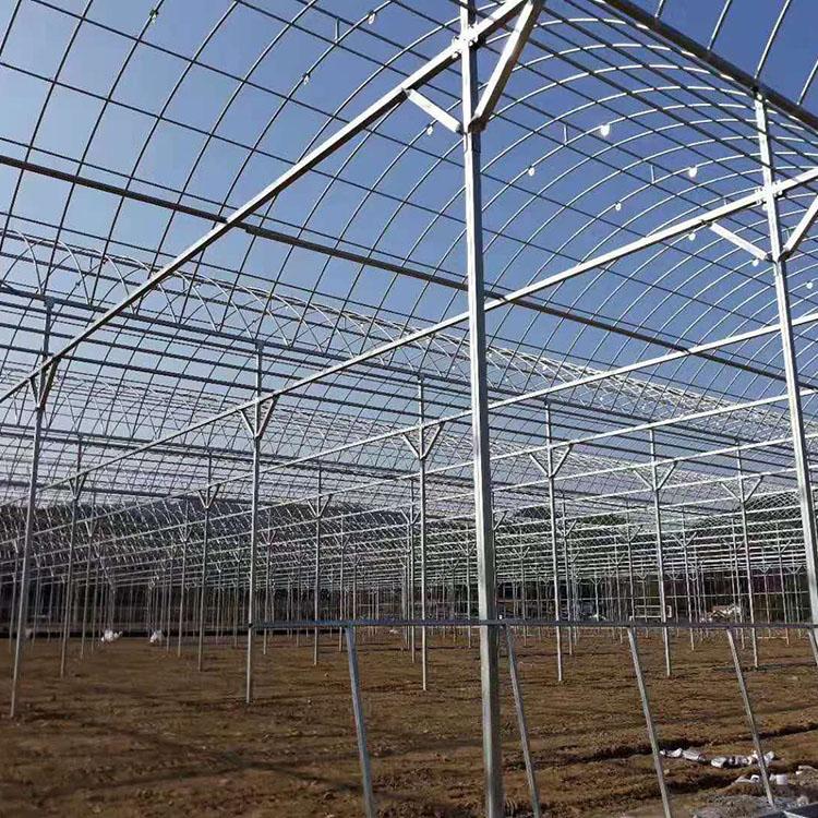 大棚温室建设 玻璃温室大棚建造 花卉温室工程