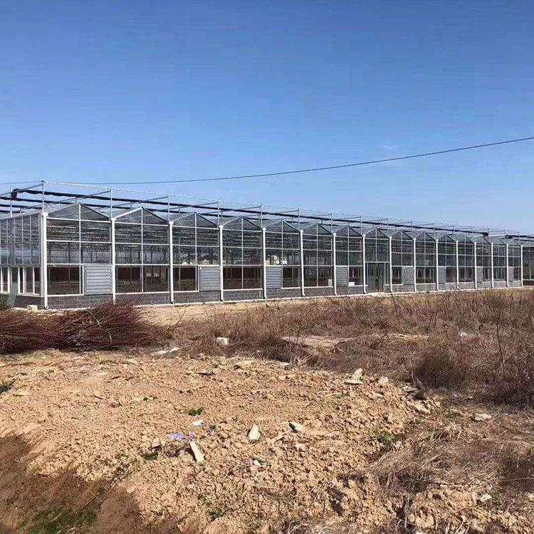 日光温室建设 连栋薄膜温室安装 连栋智能温室
