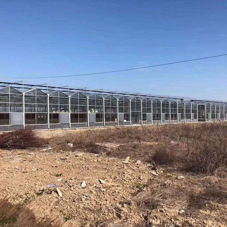 蔬菜温室建设 联栋玻璃温室设计安装 建造大棚