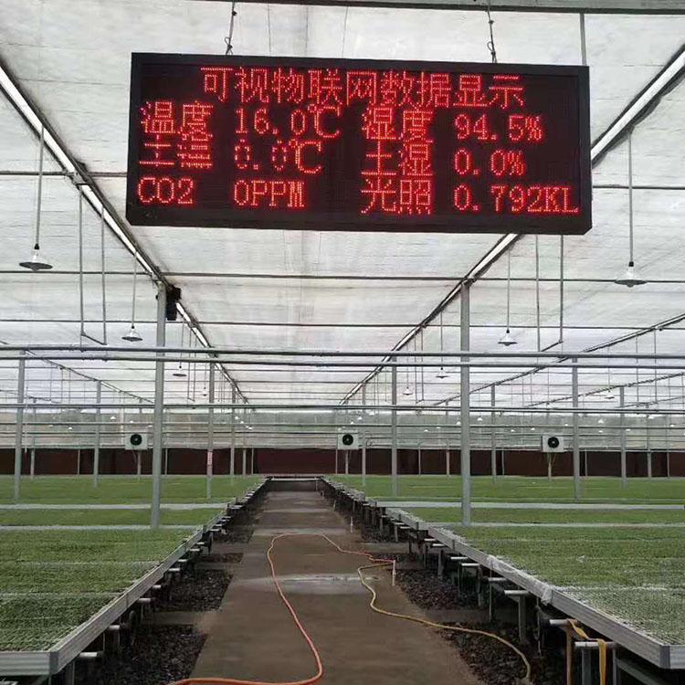 智能连栋温室 玻璃温室承建 蔬菜玻璃温室大棚