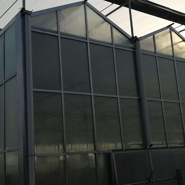 花卉温室建造 智能薄膜温室建造 纹络温室