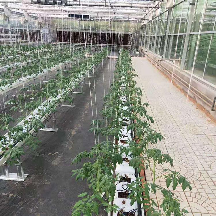 连栋温室建设 智能玻璃温室建设建造 新型日光温室