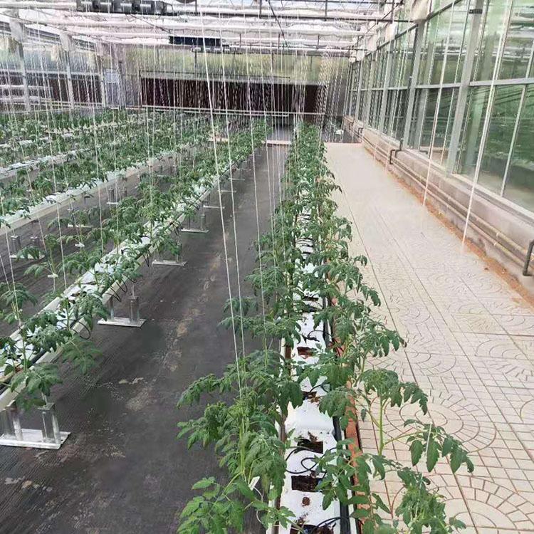 北方温室大棚 玻璃房温室建设 光伏太阳能温室