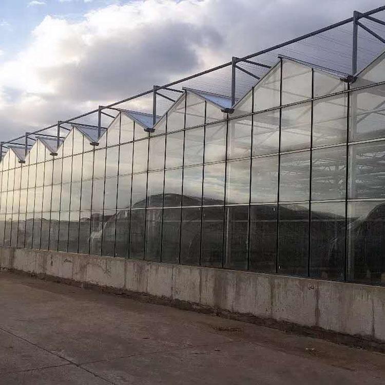 钢架蔬菜大棚 薄膜连栋温室报价 新型温室大棚