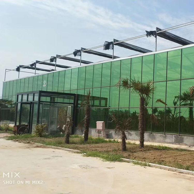 钢架蔬菜大棚 薄膜联栋温室建造 连栋温室