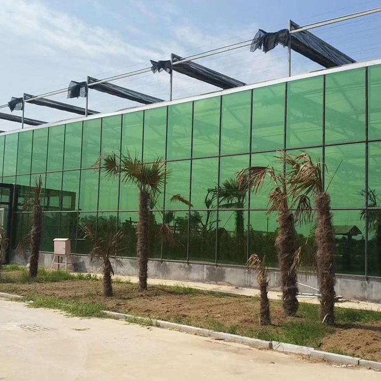 太阳能温室大棚 薄膜温室承建 花卉大棚