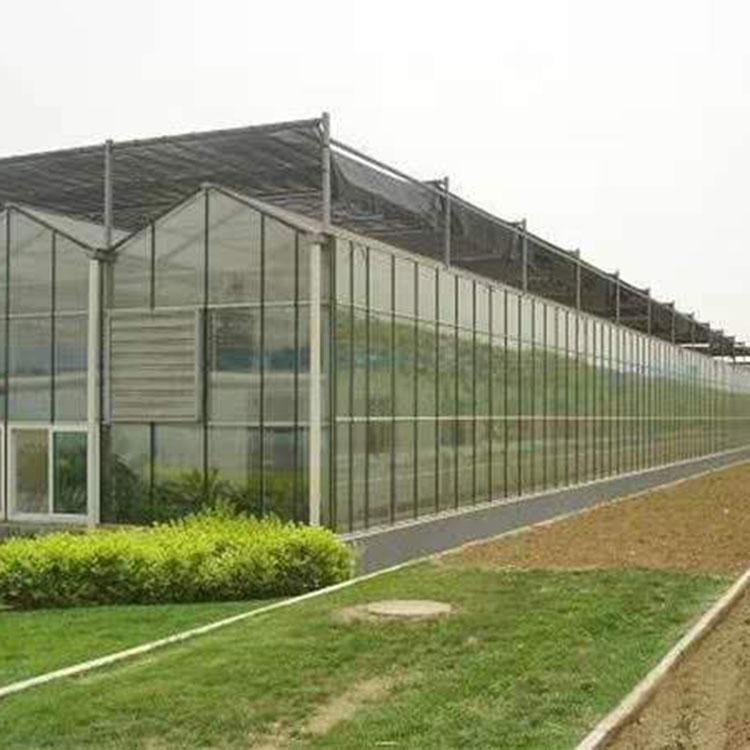 太阳能温室大棚 薄膜温室建设 日光温室