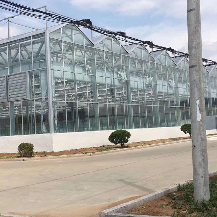 水果大棚 薄膜温室大棚建设 蔬菜育苗温室