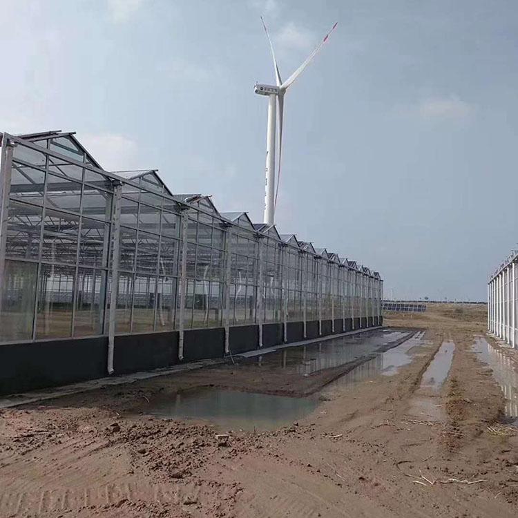 水果大棚 薄膜大棚价格 蔬菜育苗温室