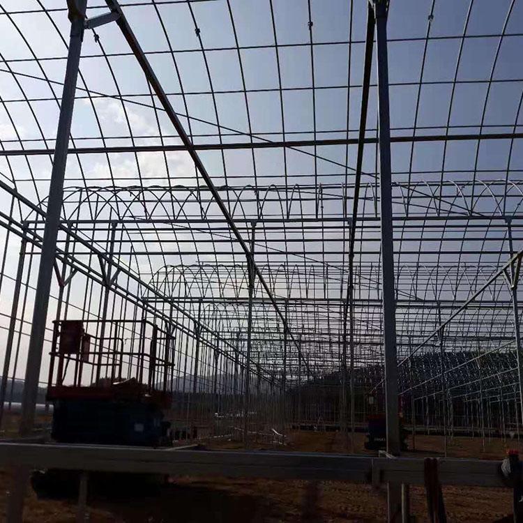 智能温室建设 智能薄膜温室设计 花卉温室大棚