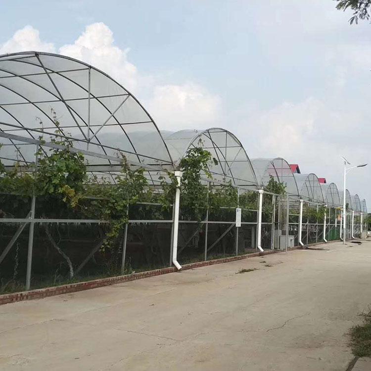 蔬菜种植温室 建设薄膜温室 薄膜温室设计安装