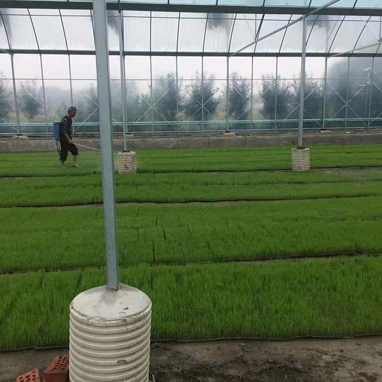 花卉种植温室 设计连栋薄膜温室 连栋薄膜温室建造商
