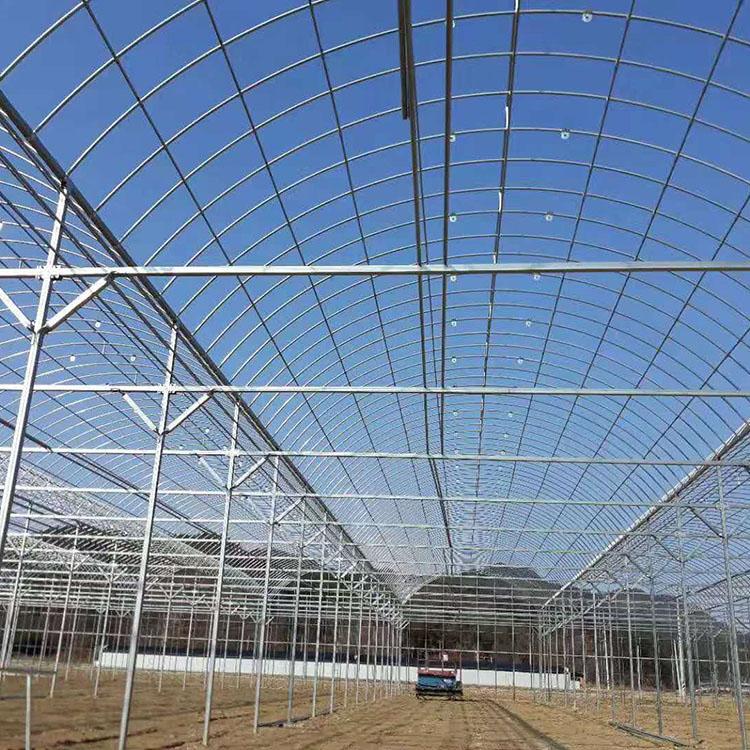 花卉温室建造 连栋薄膜温室承建 新型温室大棚