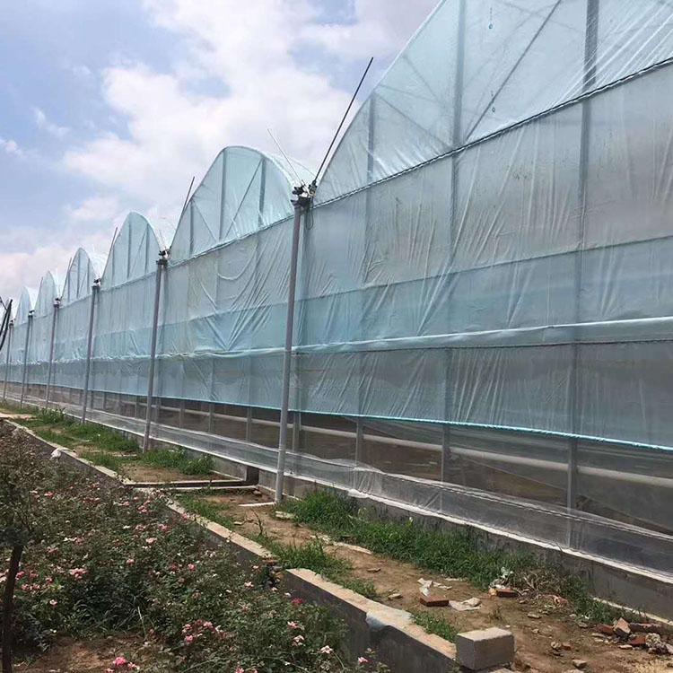 养殖温室大棚 建设智能薄膜温室 智能薄膜温室建造商