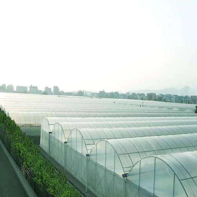 花卉温室建造 薄膜温室大棚建设 日光温室